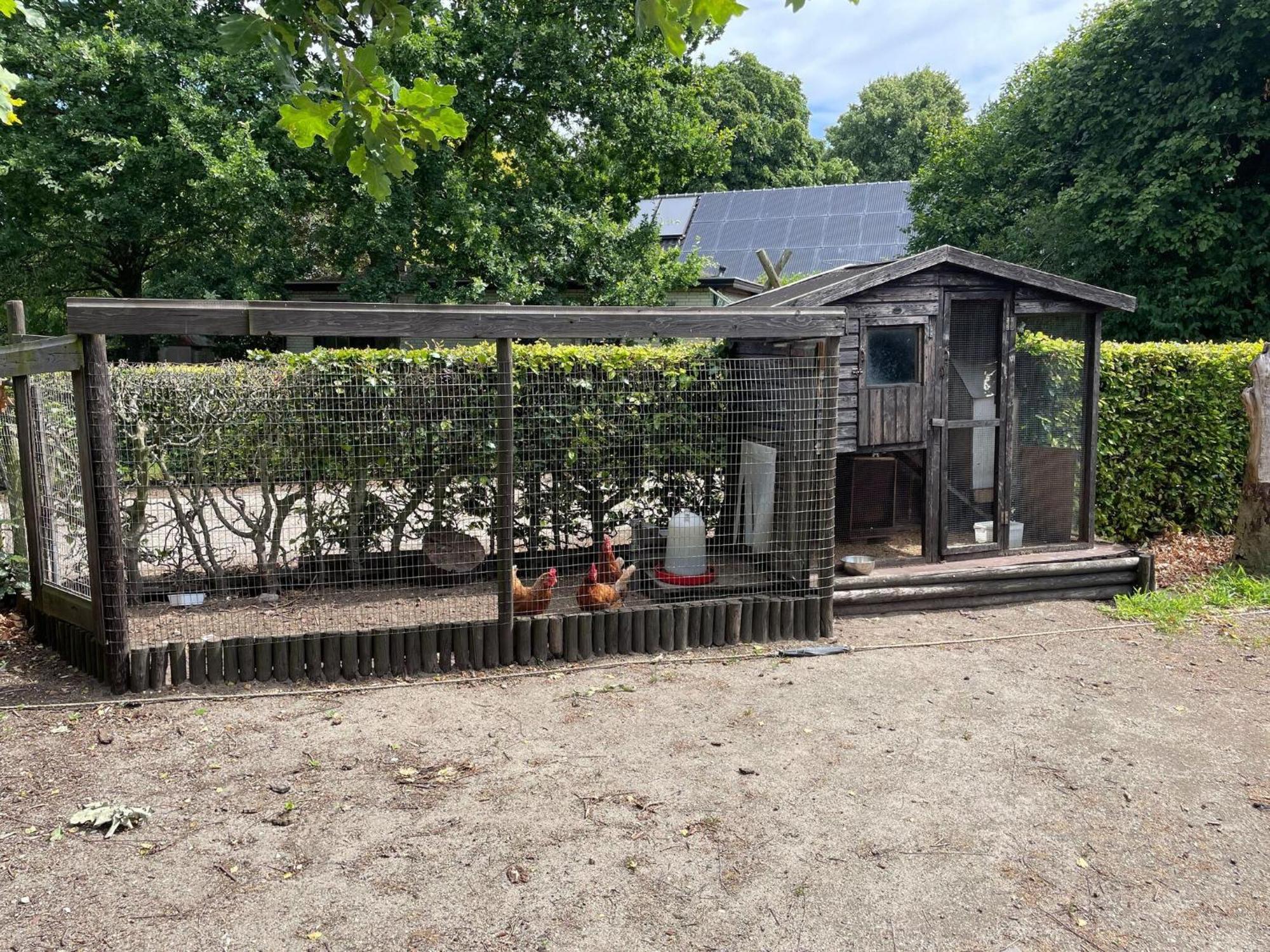 הוילה אודן Completely Renovated Back Part Of A Farm מראה חיצוני תמונה